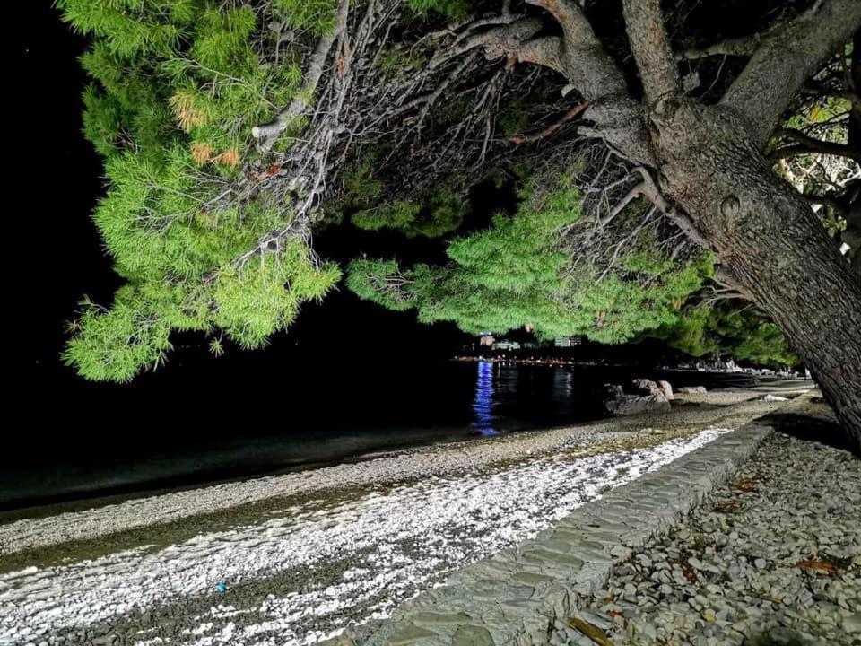Villa Nora Tučepi Buitenkant foto
